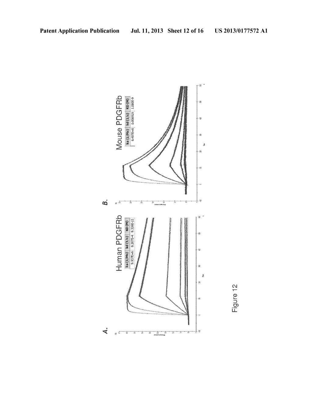 PDGF RECEPTOR BETA BINDING POLYPEPTIDES - diagram, schematic, and image 13