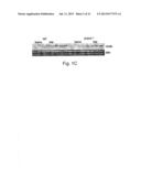 NOVEL THERAPEUTIC TARGET AND DIAGNOSTIC MARKER FOR ASTHMA AND RELATED     CONDITIONS diagram and image