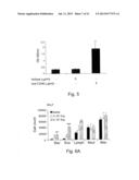 NOVEL THERAPEUTIC TARGET AND DIAGNOSTIC MARKER FOR ASTHMA AND RELATED     CONDITIONS diagram and image