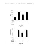 NOVEL THERAPEUTIC TARGET AND DIAGNOSTIC MARKER FOR ASTHMA AND RELATED     CONDITIONS diagram and image