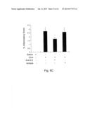 NOVEL THERAPEUTIC TARGET AND DIAGNOSTIC MARKER FOR ASTHMA AND RELATED     CONDITIONS diagram and image