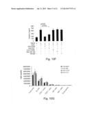 NOVEL THERAPEUTIC TARGET AND DIAGNOSTIC MARKER FOR ASTHMA AND RELATED     CONDITIONS diagram and image