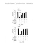 NOVEL THERAPEUTIC TARGET AND DIAGNOSTIC MARKER FOR ASTHMA AND RELATED     CONDITIONS diagram and image