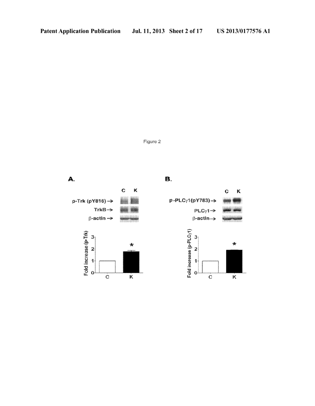 Compositions And Methods For The Treatment Of Neurologic And Psychiatric     Conditions - diagram, schematic, and image 03