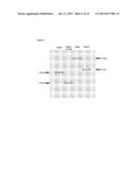 PARAPOXVIRUS EXPRESSING THE VP60 MAJOR CAPSID PROTEIN OF THE RABBIT     HAEMORRHAGIC DISEASE VIRUS diagram and image