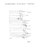 MOLECULAR CLONE OF HIV-1 diagram and image