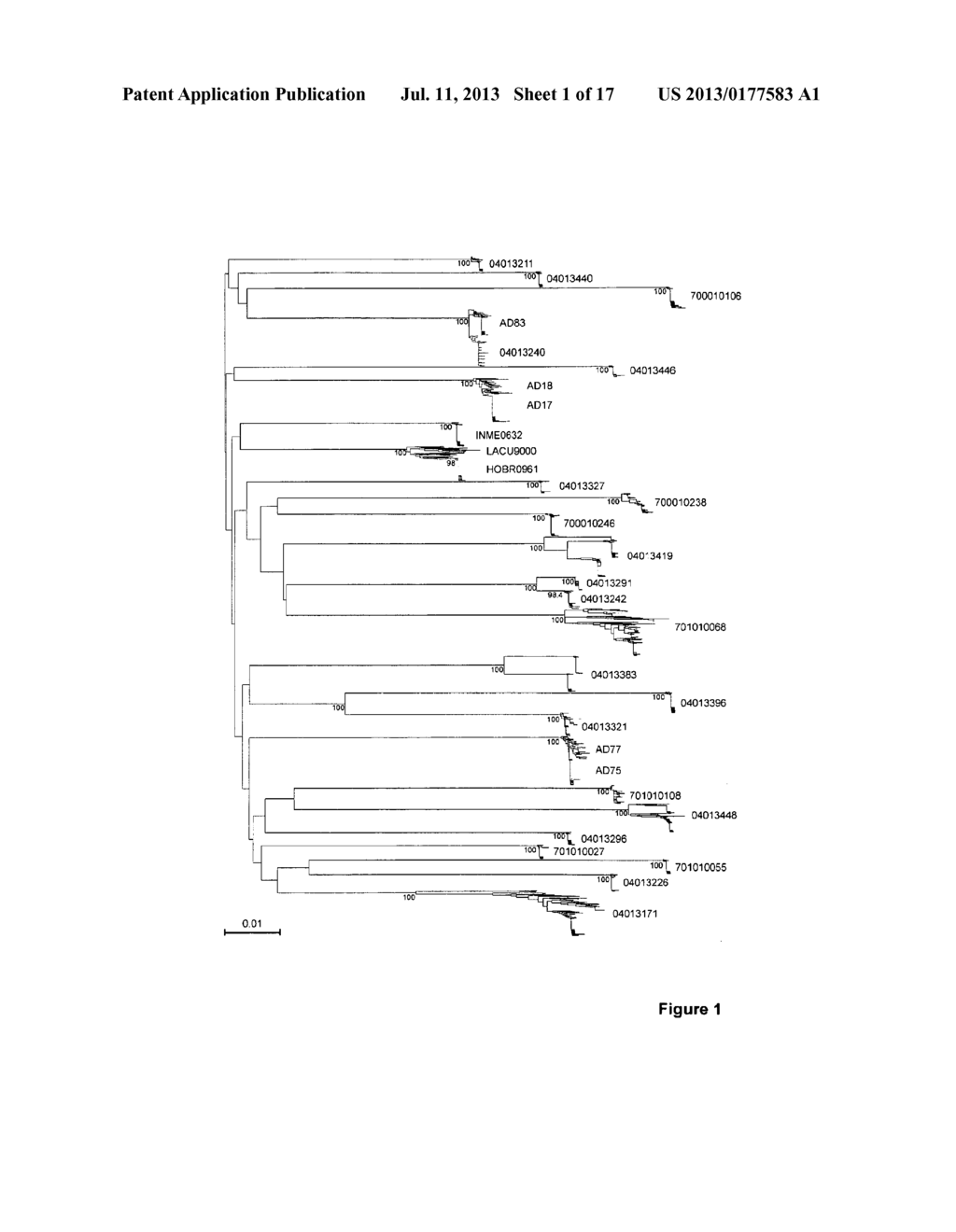 MOLECULAR CLONE OF HIV-1 - diagram, schematic, and image 02