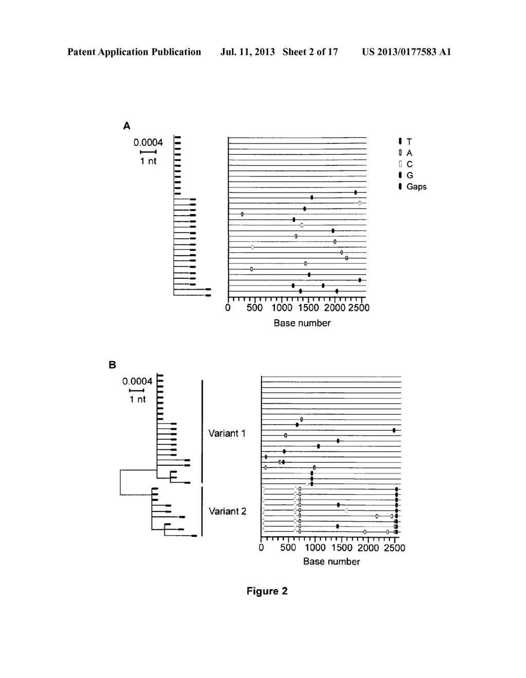 MOLECULAR CLONE OF HIV-1 - diagram, schematic, and image 03