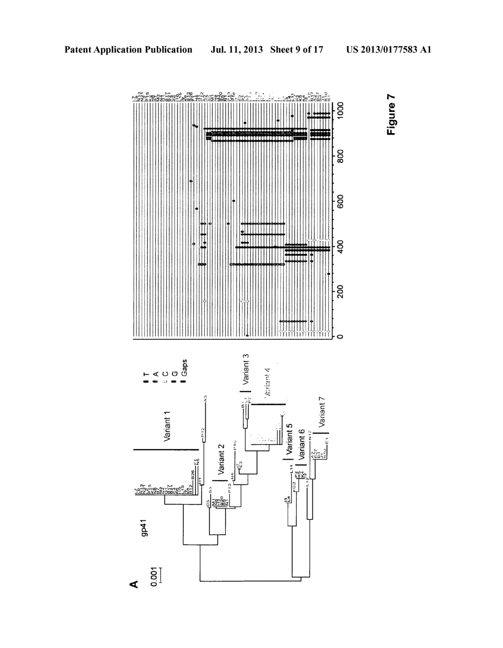 MOLECULAR CLONE OF HIV-1 - diagram, schematic, and image 10