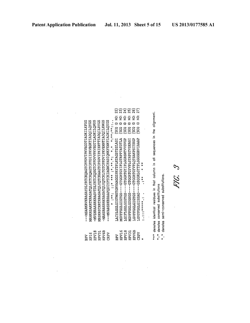 PAPILLOMAVIRUS L2 N-TERMINAL PEPTIDES FOR THE INDUCTION OF BROADLY     CROSS-NEUTRALIZING ANTIBODIES - diagram, schematic, and image 06