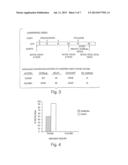 IMMUNIZATION AGAINST CLOSTRIDIUM DIFFICILE DISEASE diagram and image