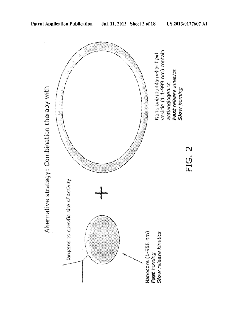 Nanocell Drug Delivery System - diagram, schematic, and image 03