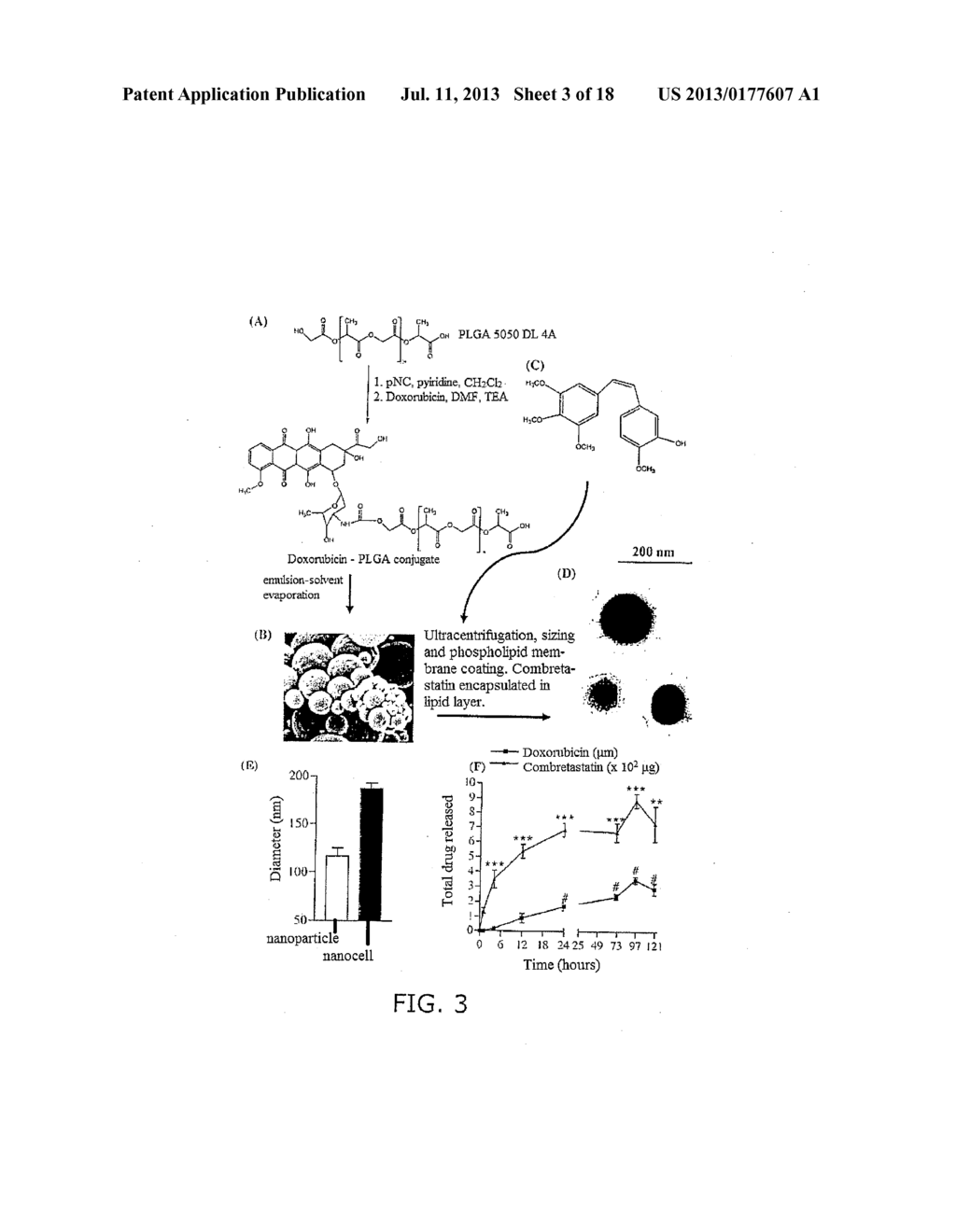 Nanocell Drug Delivery System - diagram, schematic, and image 04