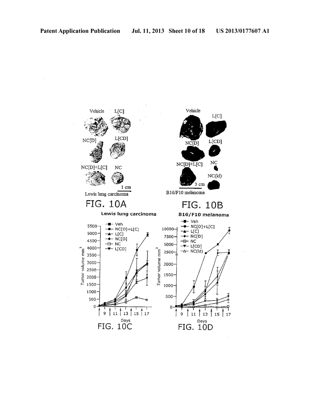 Nanocell Drug Delivery System - diagram, schematic, and image 11