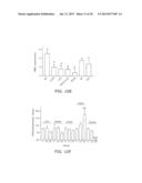 Nanocell Drug Delivery System diagram and image