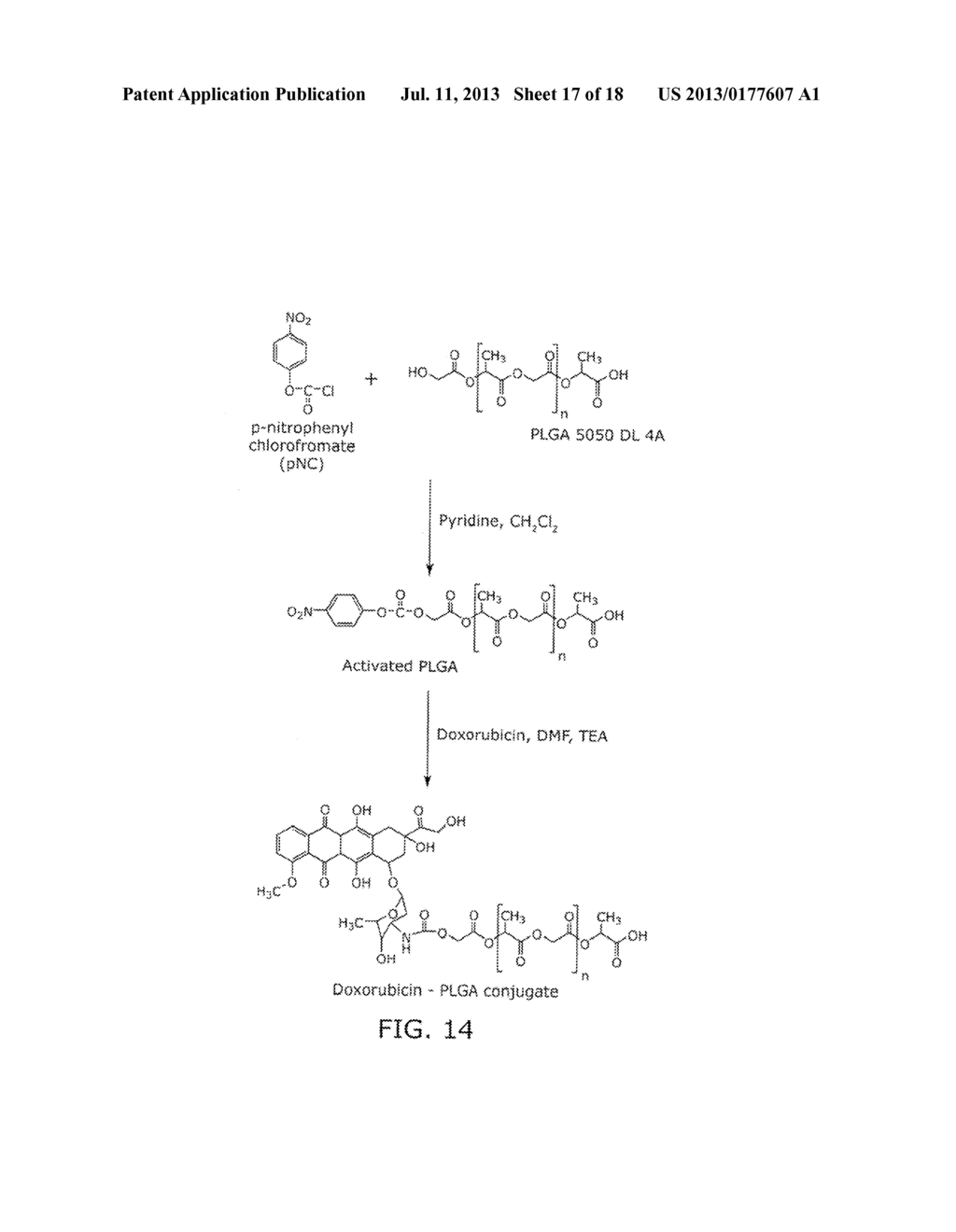 Nanocell Drug Delivery System - diagram, schematic, and image 18