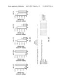 MIRNA EXPRESSION IN ALLERGIC DISEASE diagram and image