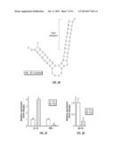 MIRNA EXPRESSION IN ALLERGIC DISEASE diagram and image