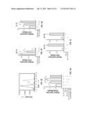 MIRNA EXPRESSION IN ALLERGIC DISEASE diagram and image