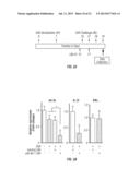 MIRNA EXPRESSION IN ALLERGIC DISEASE diagram and image