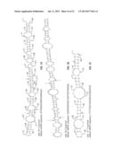 MIRNA EXPRESSION IN ALLERGIC DISEASE diagram and image