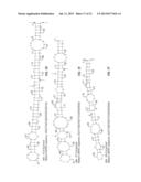 MIRNA EXPRESSION IN ALLERGIC DISEASE diagram and image