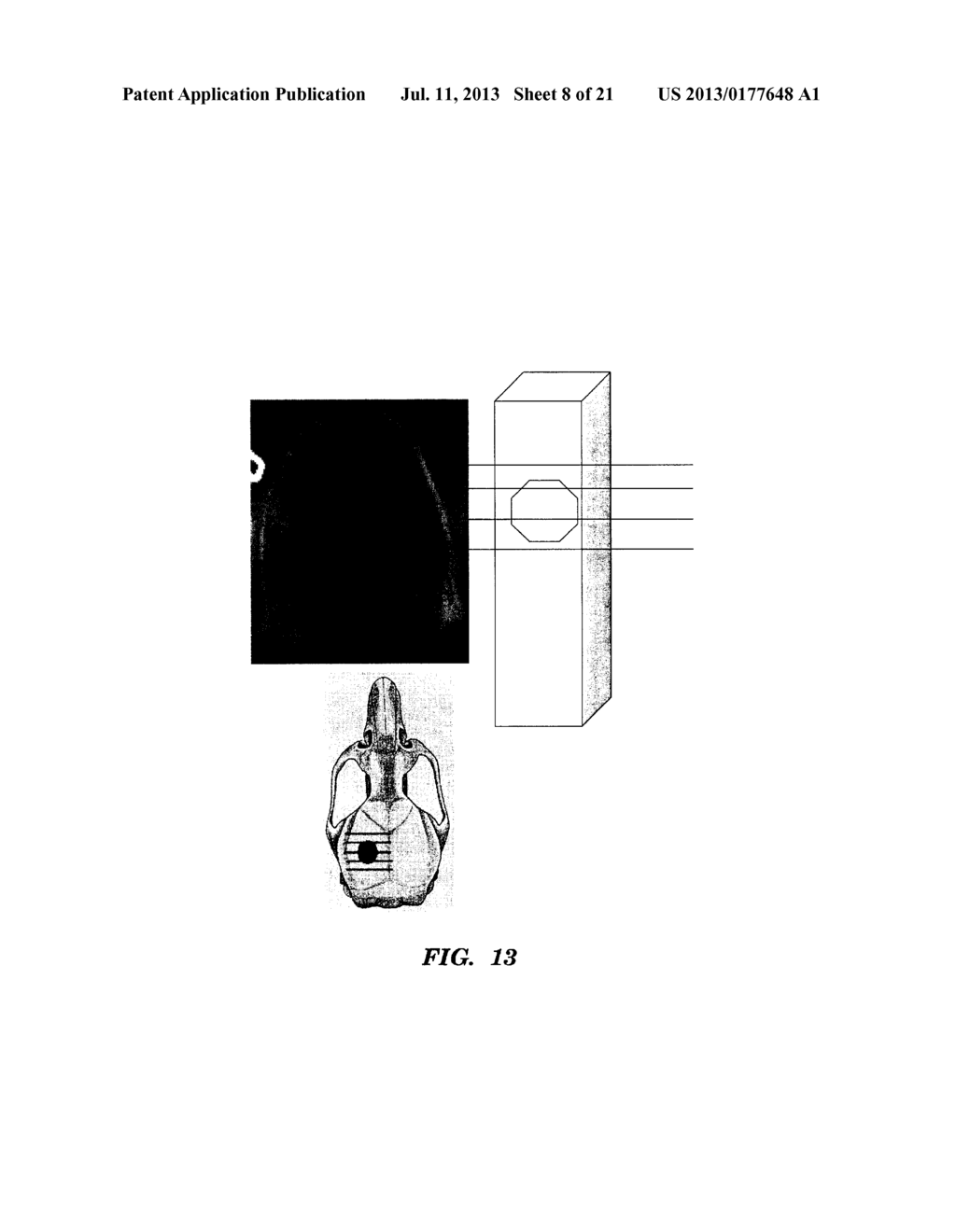 COLLAGEN/HYDROXYAPATITE COMPOSITE SCAFFOLD, AND PROCESS FOR THE PRODUCTION     THEREOF - diagram, schematic, and image 09