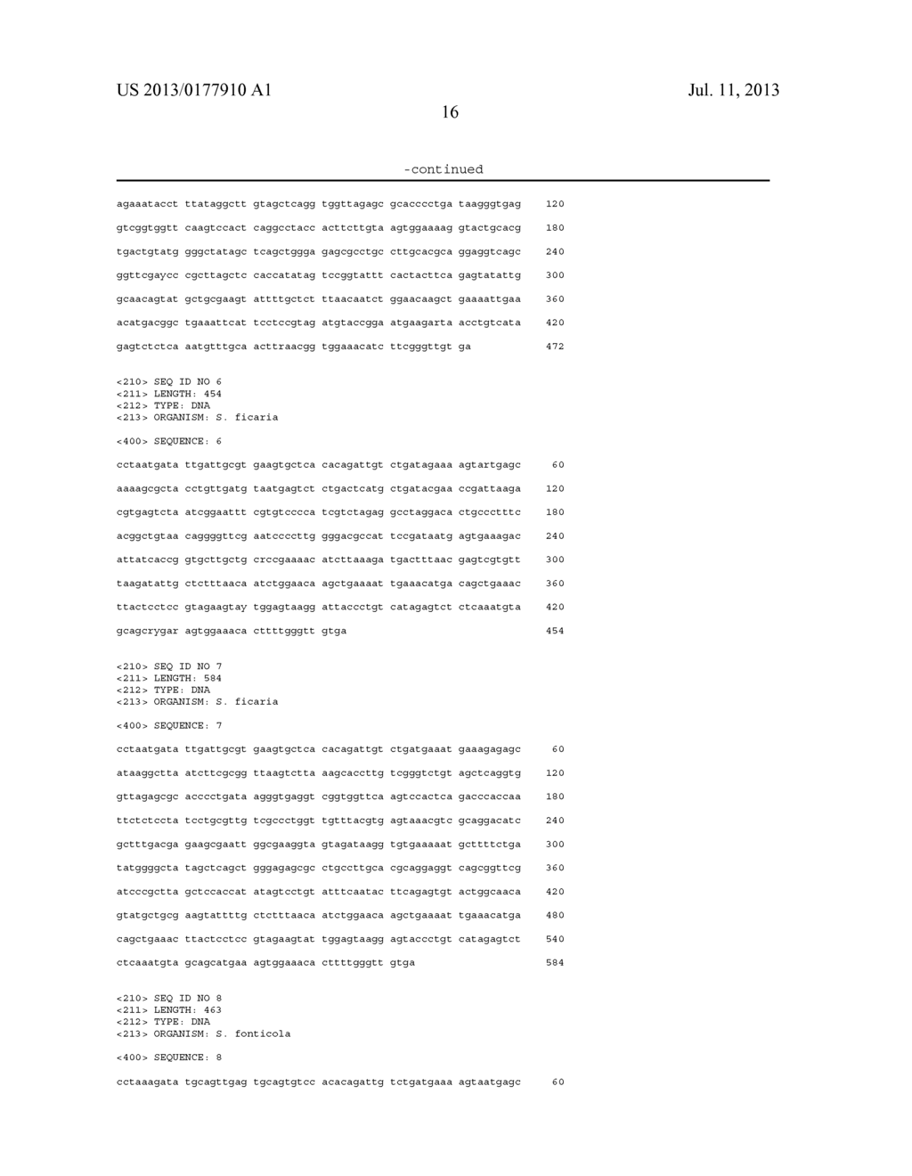 DETECTION, IDENTIFICATION AND DIFFERENTIATION OF SERRATIA SPECIES USING     THE SPACER REGION - diagram, schematic, and image 17