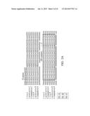 NUCLEOTIDE SEQUENCE FOR COLUMBIDAE GENDER AND NUCLEOTIDE PRIMER PAIR FOR     COLUMBIDAE GENDER diagram and image