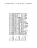 NUCLEOTIDE SEQUENCE FOR COLUMBIDAE GENDER AND NUCLEOTIDE PRIMER PAIR FOR     COLUMBIDAE GENDER diagram and image