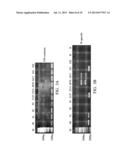 NUCLEOTIDE SEQUENCE FOR COLUMBIDAE GENDER AND NUCLEOTIDE PRIMER PAIR FOR     COLUMBIDAE GENDER diagram and image