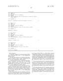 NUCLEOTIDE SEQUENCE FOR COLUMBIDAE GENDER AND NUCLEOTIDE PRIMER PAIR FOR     COLUMBIDAE GENDER diagram and image