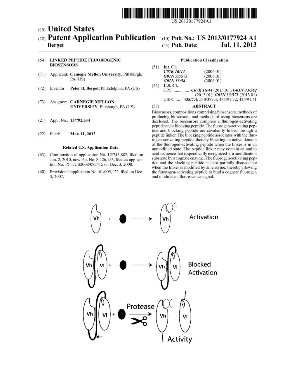 LINKED PEPTIDE FLUOROGENIC BIOSENSORS - diagram, schematic, and image 01