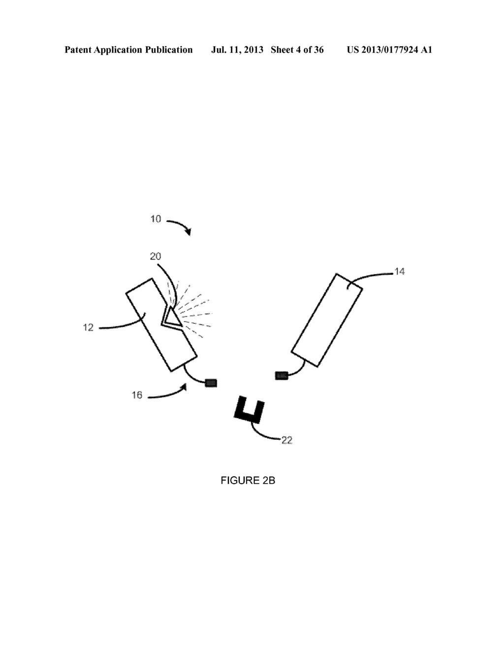 LINKED PEPTIDE FLUOROGENIC BIOSENSORS - diagram, schematic, and image 05