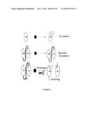 LINKED PEPTIDE FLUOROGENIC BIOSENSORS diagram and image