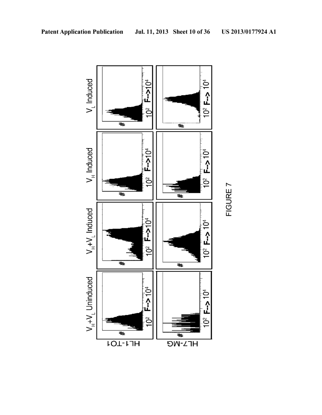 LINKED PEPTIDE FLUOROGENIC BIOSENSORS - diagram, schematic, and image 11