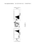 LINKED PEPTIDE FLUOROGENIC BIOSENSORS diagram and image