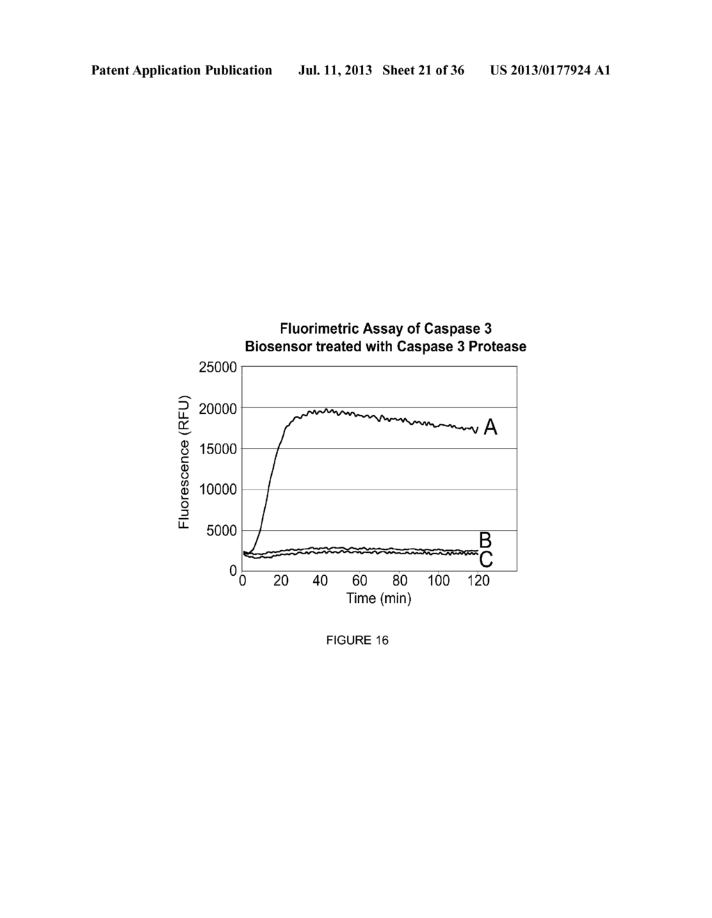 LINKED PEPTIDE FLUOROGENIC BIOSENSORS - diagram, schematic, and image 22