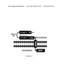 LINKED PEPTIDE FLUOROGENIC BIOSENSORS diagram and image