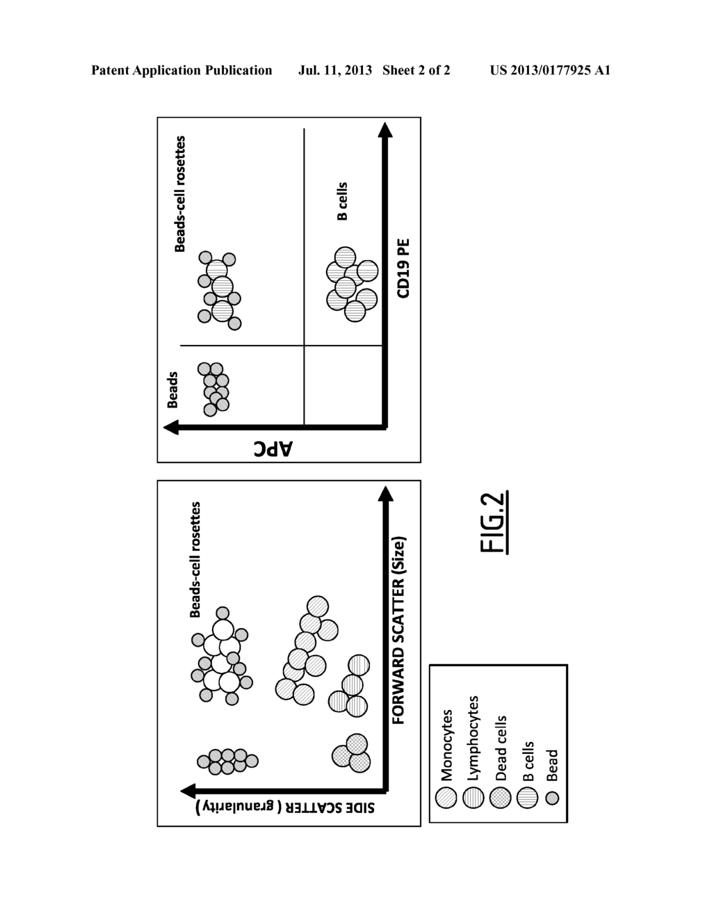 DETECTION OF ANTIGEN-SPECIFIC PERIPHERAL BLOOD MONONUCLEAR CELLS AND     METHODS FOR DIAGNOSING IMMUNE DISORDERS - diagram, schematic, and image 03