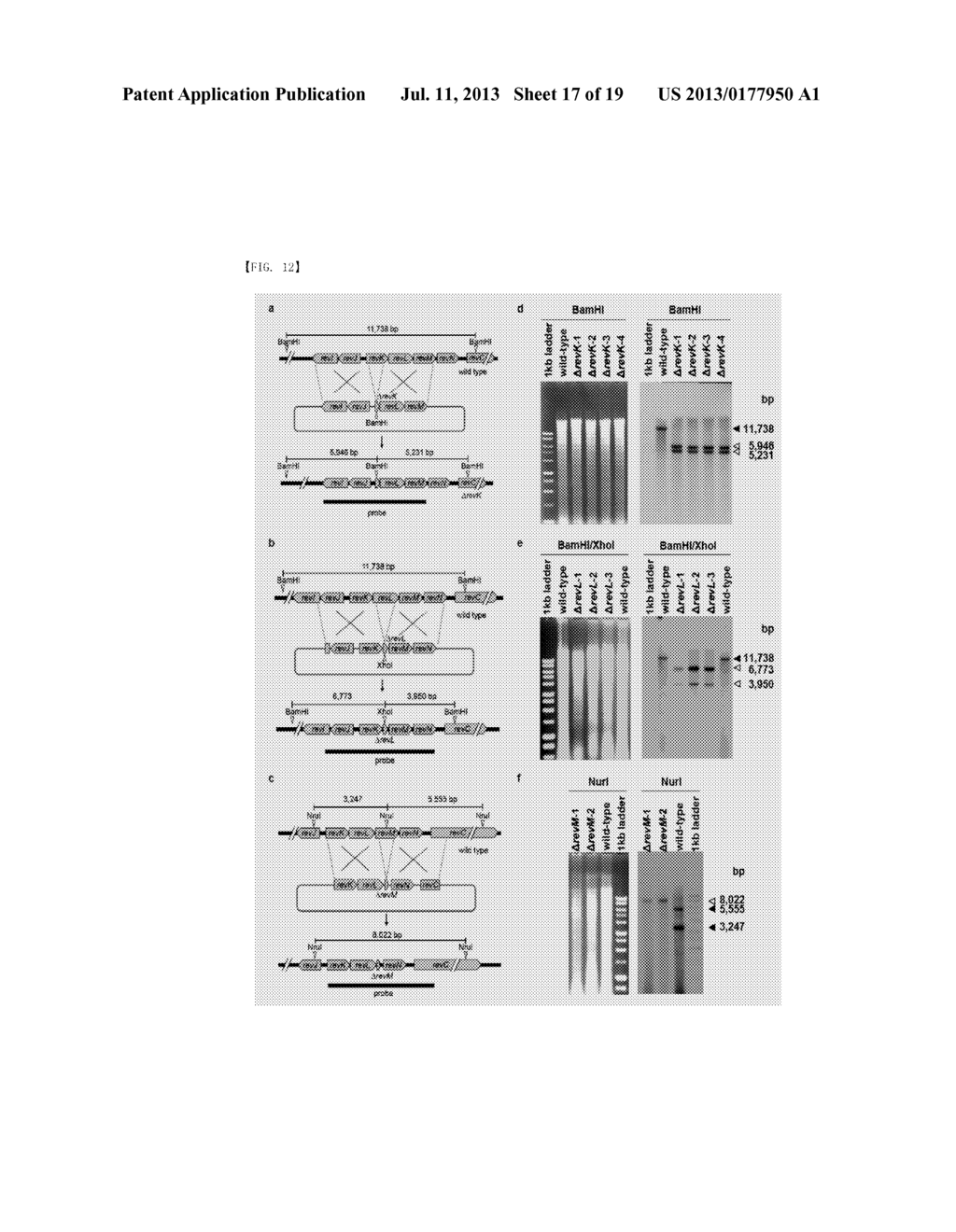 PROCESS FOR PRODUCING REVEROMYCIN A OR A SYNTHETIC INTERMEDIATE THEREOF,     PROCESS FOR PRODUCING COMPOUNDS CONTAINING A SPIROKETAL RING AND NOVEL     ANTINEOPLASTICS, FUNGICIDES AND THERAPEUTIC AGENTS FOR BONE DISORDERS - diagram, schematic, and image 18