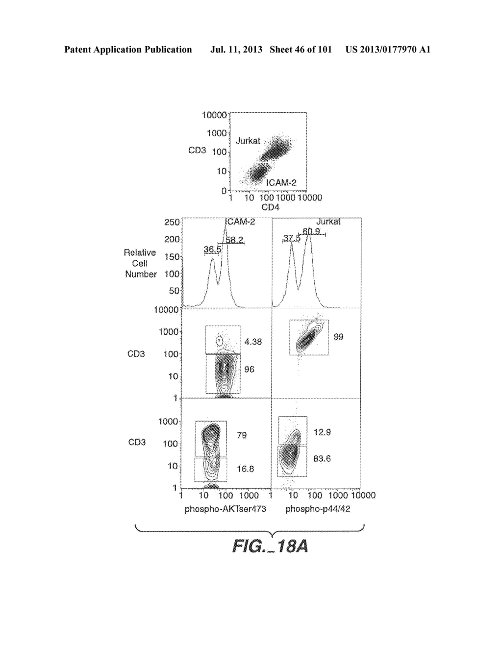 METHODS AND COMPOSITIONS FOR DETECTING THE ACTIVATION STATE OF MULTIPLE     PROTEINS IN SINGLE CELLS - diagram, schematic, and image 47