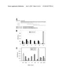 IMMUNOREACTIVE EHRLICHIA P120/P140 EPITOPES AND USES THEREOF diagram and image