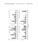 IMMUNOREACTIVE EHRLICHIA P120/P140 EPITOPES AND USES THEREOF diagram and image