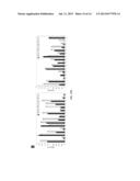 IMMUNOREACTIVE EHRLICHIA P120/P140 EPITOPES AND USES THEREOF diagram and image