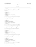 IMMUNOREACTIVE EHRLICHIA P120/P140 EPITOPES AND USES THEREOF diagram and image