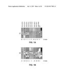 METHODS AND COMPOSITIONS FOR REGULATION OF TRANSGENE EXPRESSION diagram and image