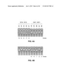 METHODS AND COMPOSITIONS FOR REGULATION OF TRANSGENE EXPRESSION diagram and image