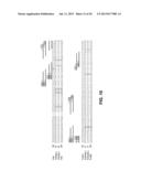 METHODS AND COMPOSITIONS FOR REGULATION OF TRANSGENE EXPRESSION diagram and image