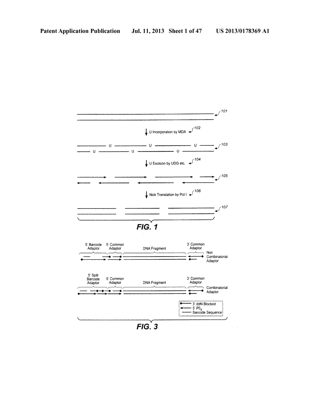 TREATMENT FOR STABILIZING NUCLEIC ACID ARRAYS - diagram, schematic, and image 02